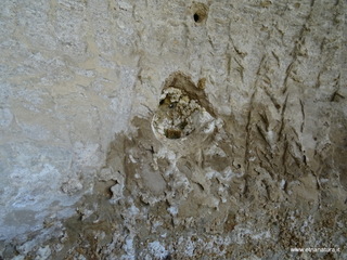 Cava Scordia